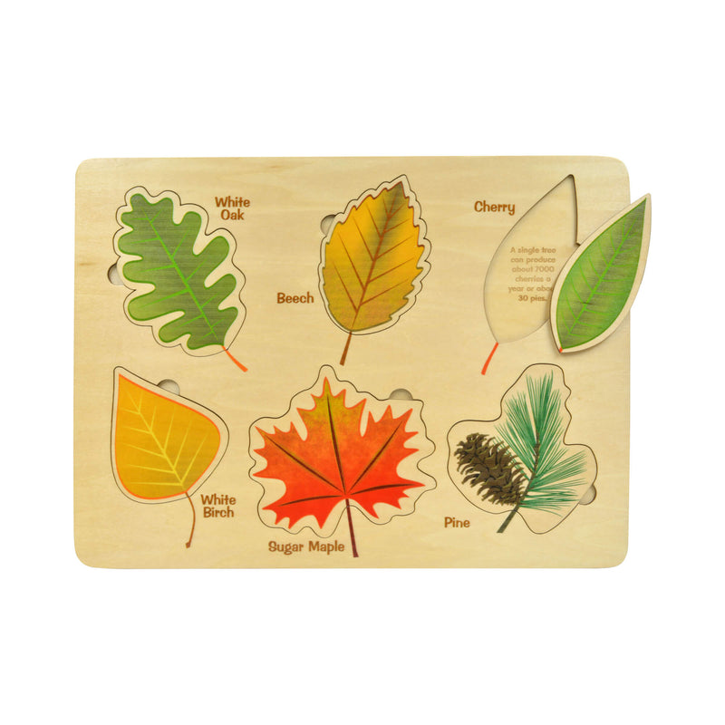 Lift & Learn Leaves Puzzle