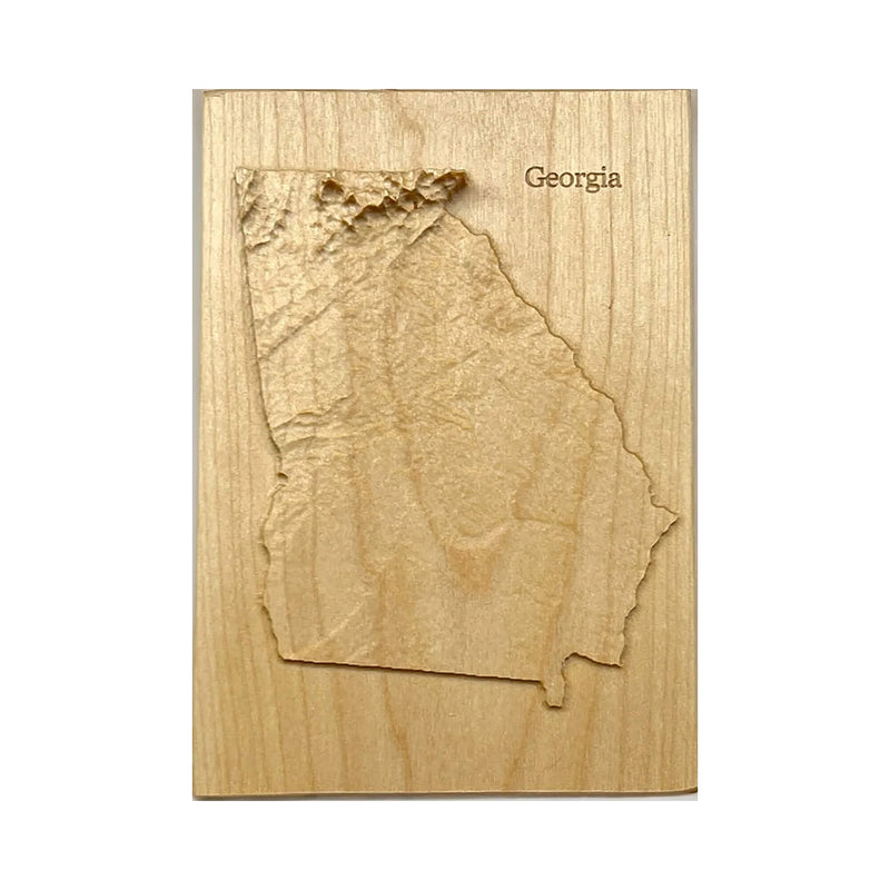 Georgia Topographic 3D Relief State Map | Georgia Map Gift